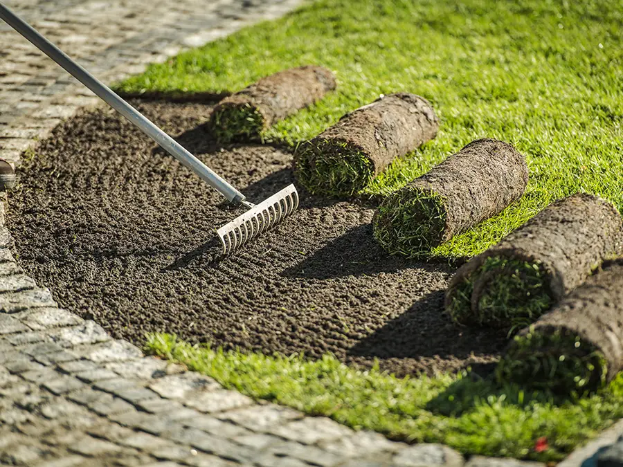 Rollrasen_Frischer_Rasen_Sportrasen_Nordholz_Geestland_Schiffdorf_Harrje_GmbH